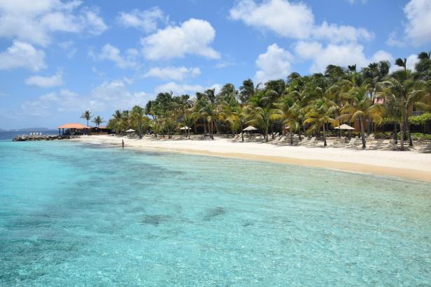 Karibik-Insel Bonaire: Vom Leguan, der in die Suppe kam
