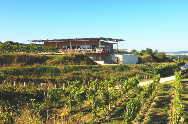 Die Weinbeisserei in Mollands liegt inmitten eines Weinbergs.