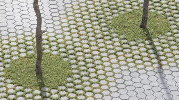 Sechseckige Pflastersteine mit Gras, durchbrochen von zwei Baumstämmen.