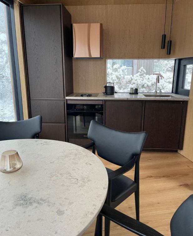 Eine moderne Küche mit dunklen Holzschränken und einem Blick auf verschneite Bäume.