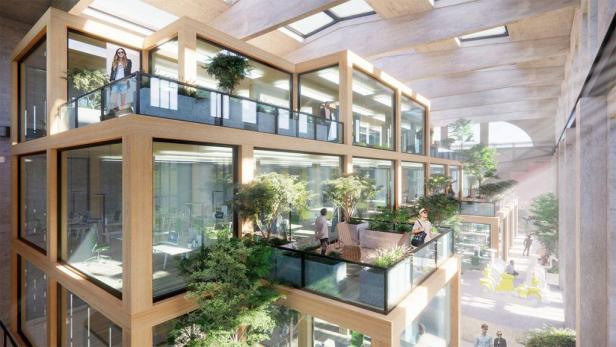 Mehrere Terrassen mit Pflanzen in einem modernen Bürogebäude.