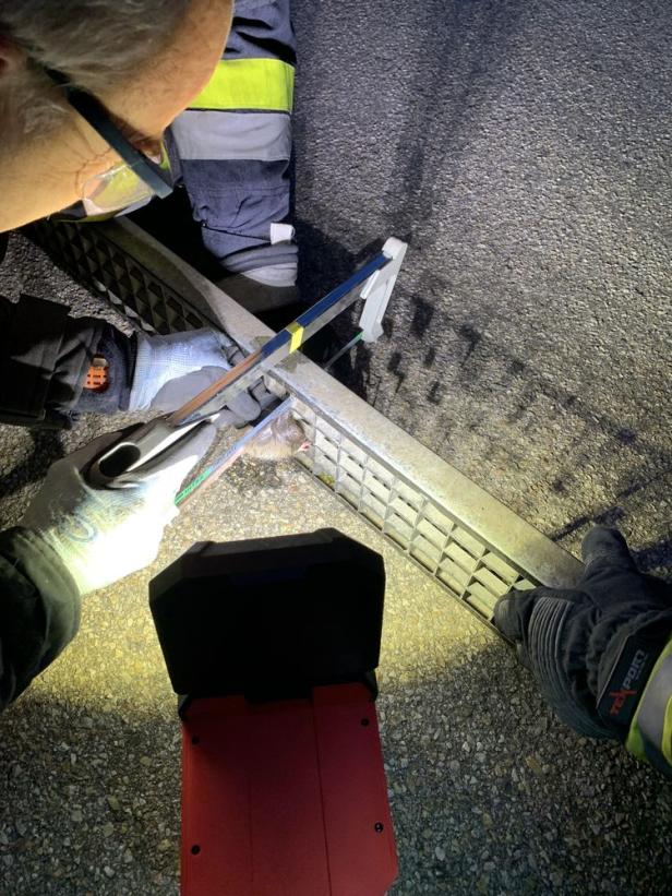 Feuerwehr befreite Ratte aus Notlage in Krems