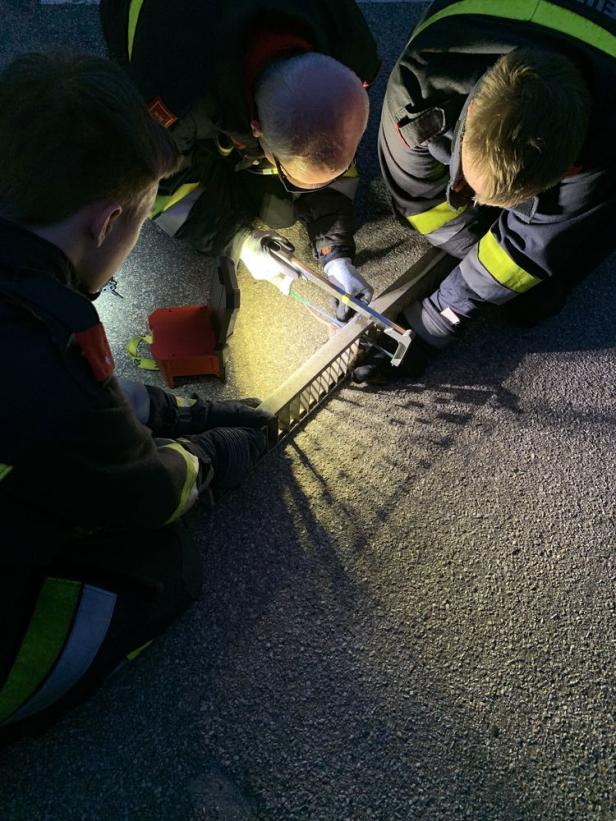 Feuerwehr befreite Ratte aus Notlage in Krems