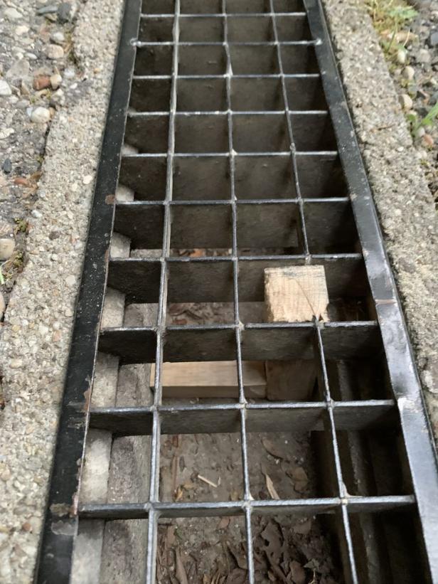 Feuerwehr befreite Ratte aus Notlage in Krems