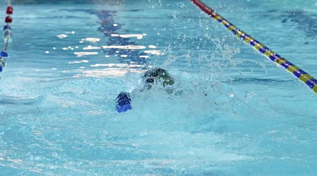 Lifelong-Swimming: „Aus uns sind Fische geworden“