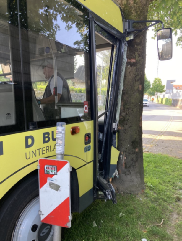 Ein gelber Bus ist gegen einen Baum gefahren, die Scheibe ist zerbrochen.