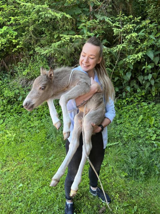 Tierischer Einsatz in Salzburg: Polizei nahm hungriges Fohlen „in Gewahrsam“