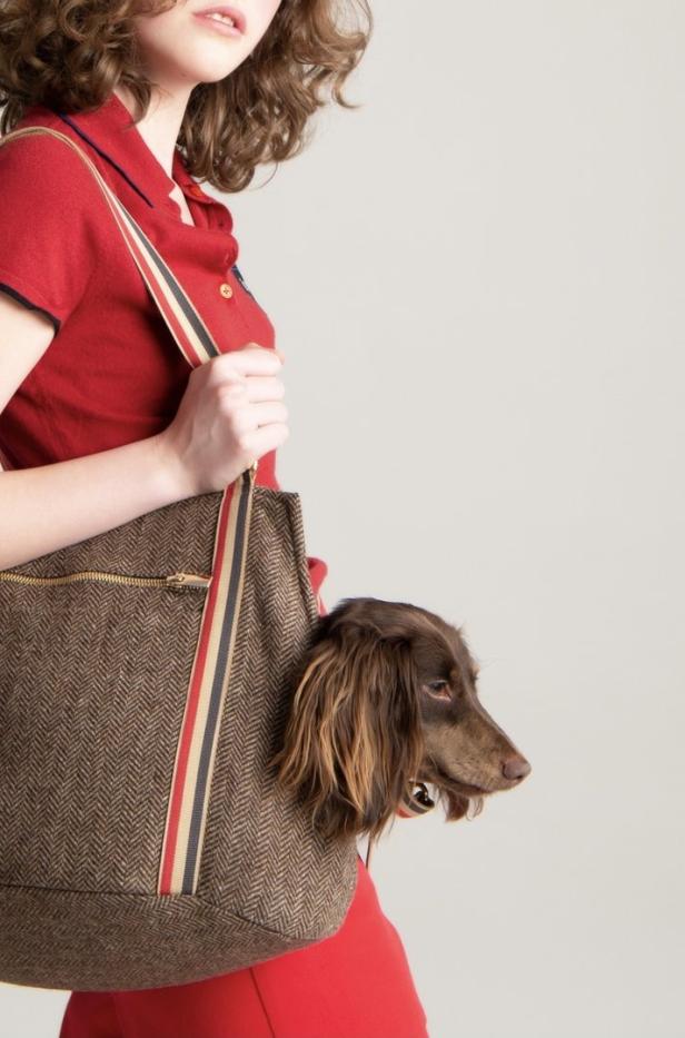 Eine Frau trägt eine braune Handtasche mit einem Dackel darin.