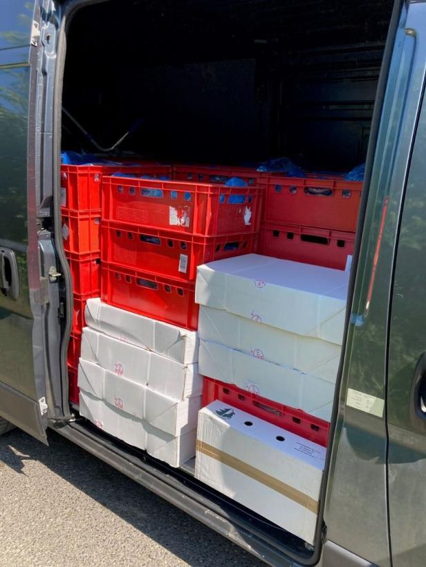 Fleischtransporter ohne Kühlung: Zwei Tonnen Ware aus Polen beschlagnahmt