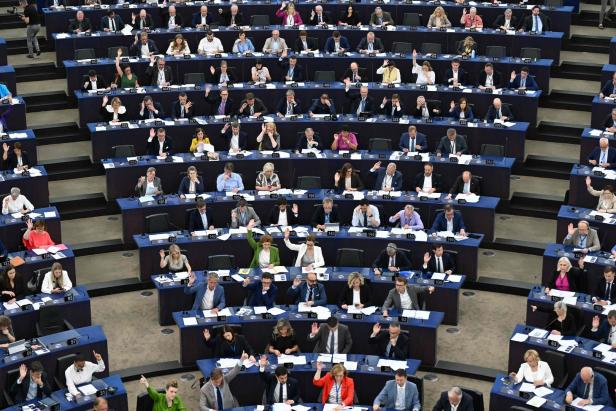 Warum es im EU-Parlament zum Showdown im Streit um die Natur kommt