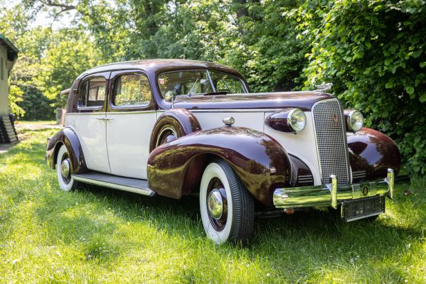 Ein Oldtimer in Burgunderrot und Weiß steht auf einer grünen Wiese.