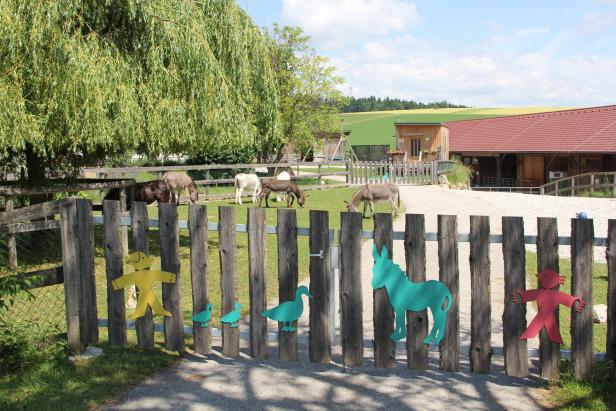 Pionierin zeigt,  wie Tiere jungen Menschen helfen