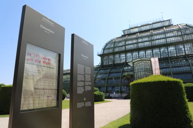 Im Großen Palmenhaus in Wien putzte schon die Marine die Fenster