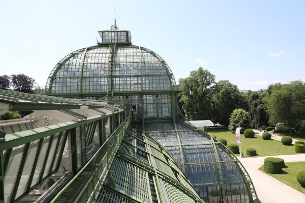 Im Großen Palmenhaus in Wien putzte schon die Marine die Fenster