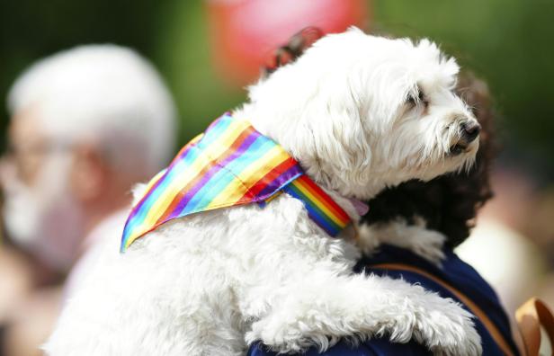 Vienna Pride: 300.000 Menschen feierten bei 27. Regenbogenparade