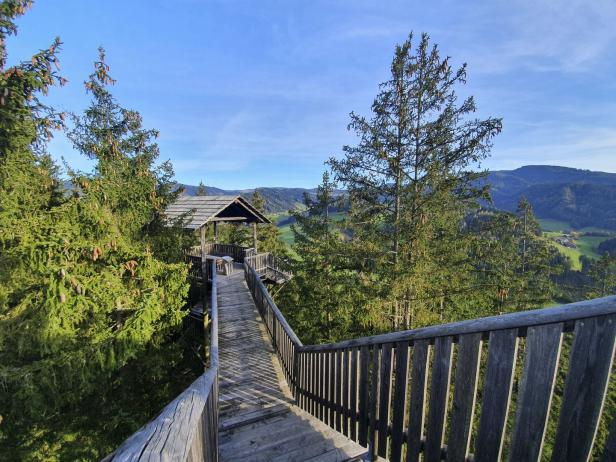 Ein hölzerner Aussichtsturm in Rachau mit Blick auf die grüne Landschaft.