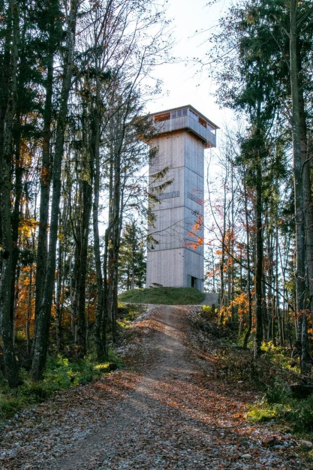 Ein hölzerner Aussichtsturm inmitten eines herbstlichen Waldes.