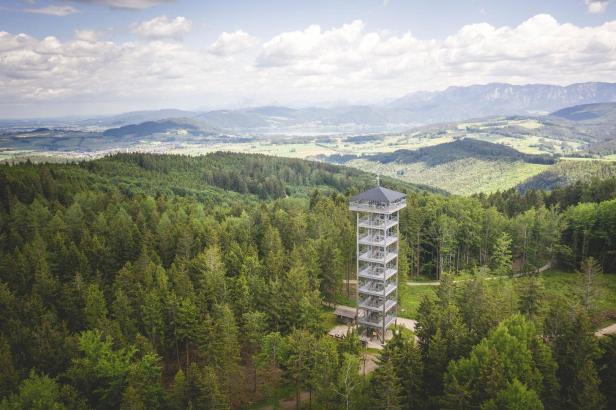 Ein Aussichtsturm ragt inmitten eines dichten Waldes in die Höhe.