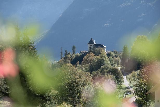 Ein Schloss thront auf einem bewaldeten Hügel vor einer Bergkulisse.