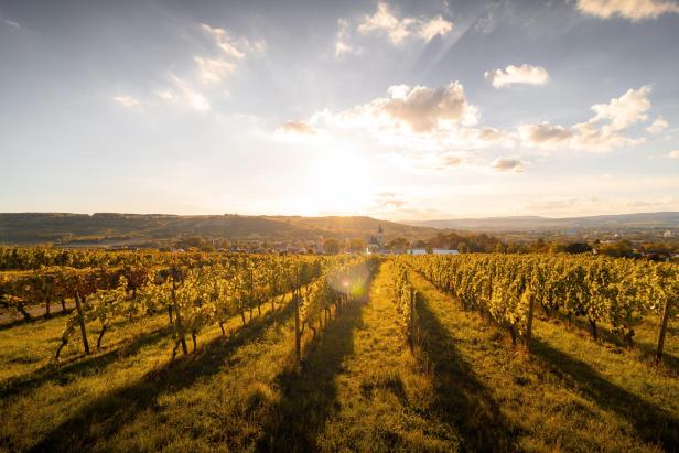 Ein Muss auf jeder Bucketlist: 30 Goldstücke in Rheinland-Pfalz!