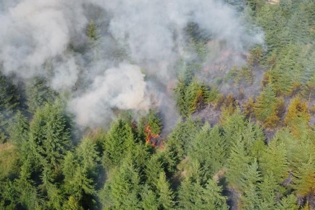Bundesforste ergreifen Maßnahmen zur Waldbrandprävention in OÖ