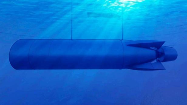 Ein zylindrisches Objekt, möglicherweise ein Unterwasserfahrzeug, hängt unter der Wasseroberfläche.