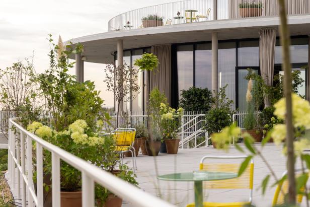 Gelbe Stühle und Pflanzen auf einer Dachterrasse mit Blick auf ein modernes Gebäude.