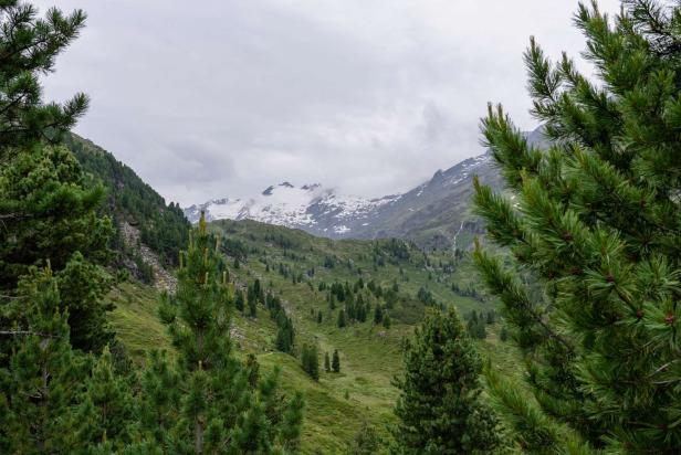 Wie der Klimawandel unsere Alpen verändert