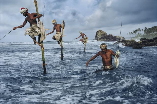 Mehrere Stelzenfischer im Wasser vor Sri Lanka beim Fischfang.
