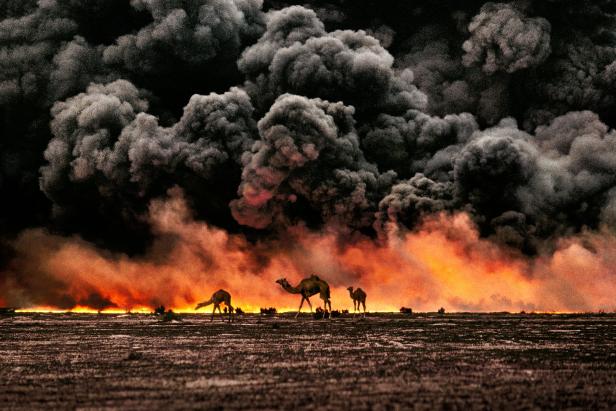 McCurry, „Kamele unter schwarzem Himmel“.