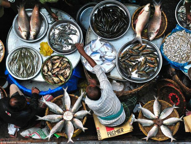 Ein Fischhändler bietet verschiedene Fischsorten und Meeresfrüchte auf einem Markt an.