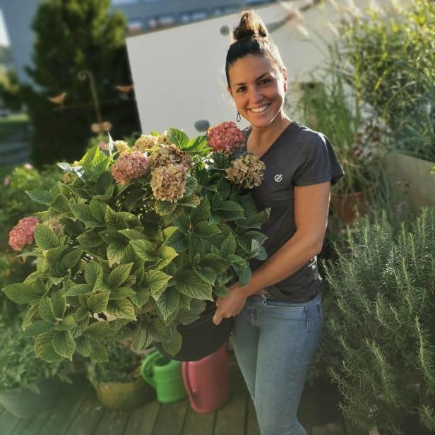 Obstbäume: Richtige Pflege für eine reiche Ernte