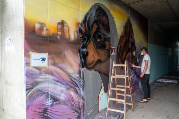 Buntes Graffiti-Festival mit viel Spektakel