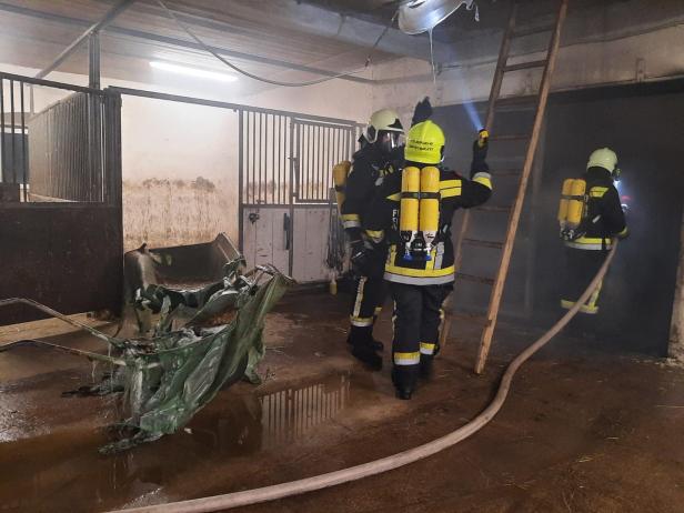 Feuer in Reitstall: Einsatzkräfte kämpften stundenlang gegen Flammen