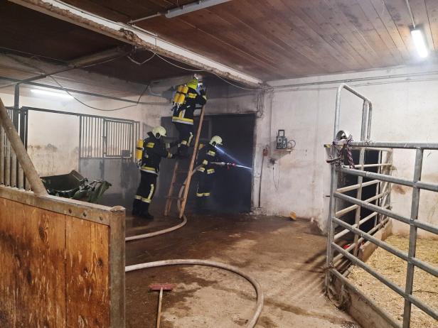 Feuer in Reitstall: Einsatzkräfte kämpften stundenlang gegen Flammen