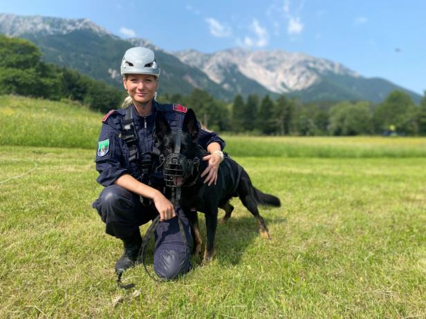 Vermisstensuche auf 2.000 Meter: Polizeihunde werden fit für die Berge