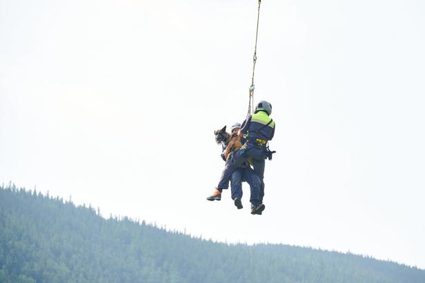 Vermisstensuche auf 2.000 Meter: Polizeihunde werden fit für die Berge