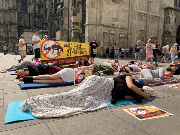 Die kreativsten Aktionen der Klimaschutzaktivisten in Österreich