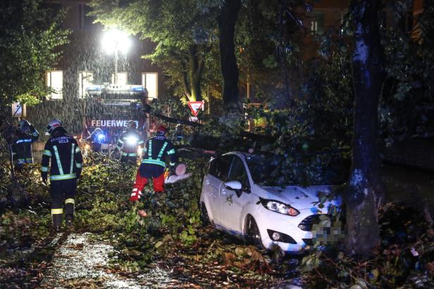 Stromausfälle und umgestürzte Bäume: Sturm forderte die Feuerwehr