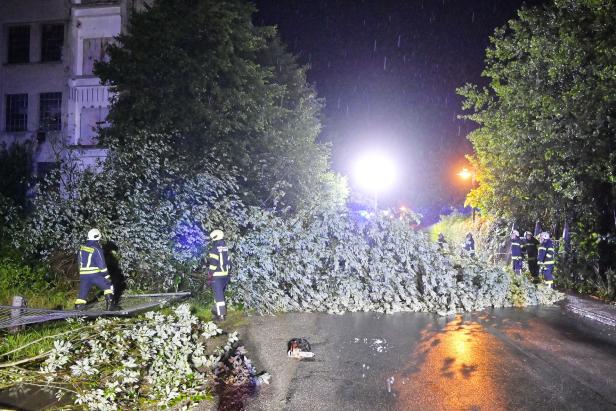 Stromausfälle und umgestürzte Bäume: Sturm forderte die Feuerwehr