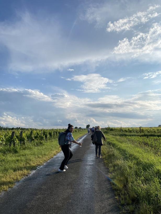 Weinblütenwanderung: Blaumachen in den Lutzmannsburger Rieden