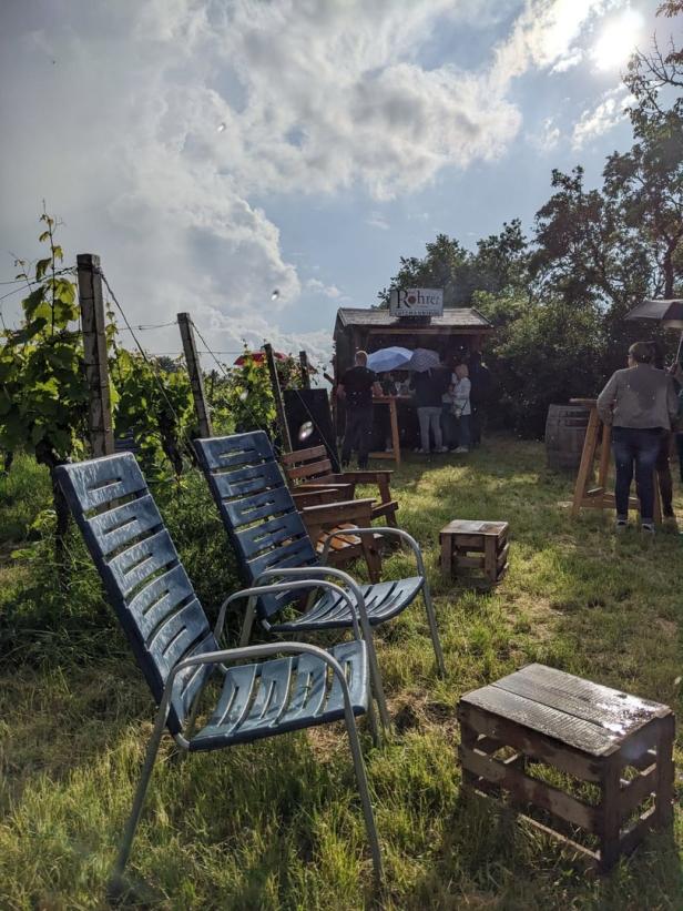 Weinblütenwanderung: Blaumachen in den Lutzmannsburger Rieden