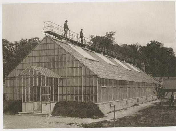 Historische Glashäuser sind Meisterwerke der Konstruktion