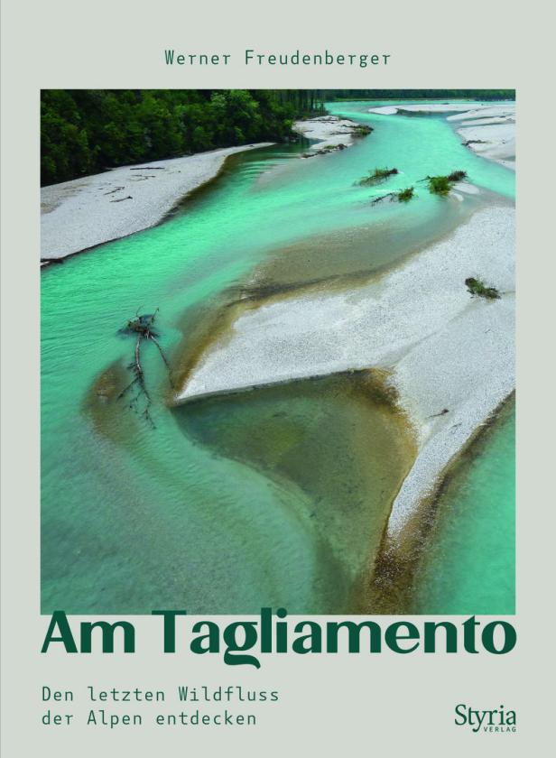 Am Tagliamento: Der unbekannte blaue König