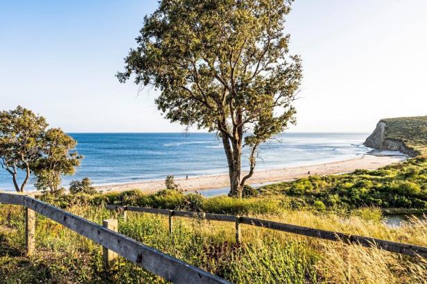 Ein Baum steht an einem Sandstrand mit Blick auf das Meer.