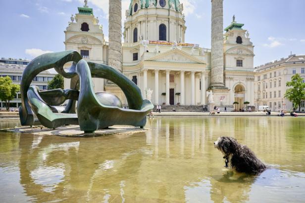 Ein Hund steht in einem Teich vor der Karlskirche in Wien.