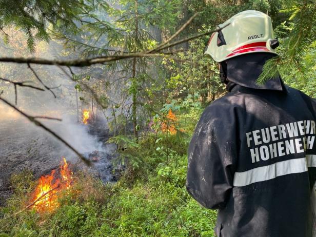 Hitze und Wind: Brand griff in NÖ von Bahndamm auf Wald über