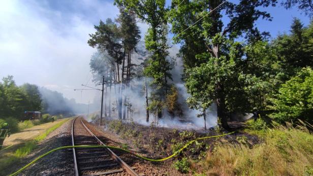 Hitze und Wind: Brand griff in NÖ von Bahndamm auf Wald über