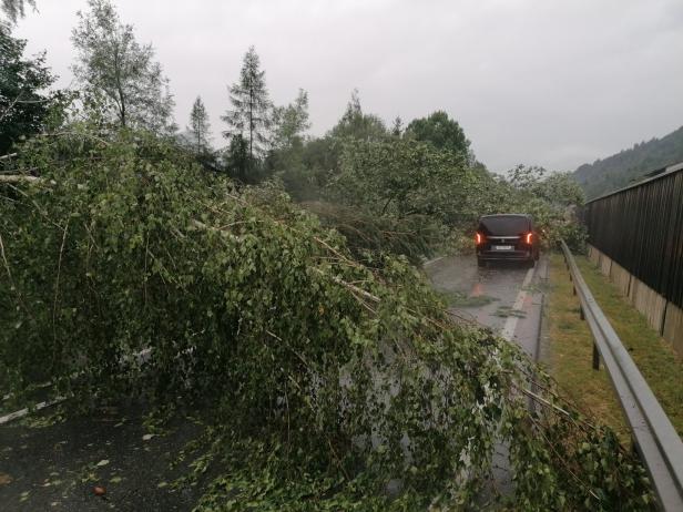 Unwetterfront hinterlässt schwere Schäden: Van der Bellen saß in Zug fest