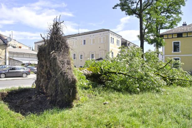 Höchste Warnstufe: Erneut Unwetter in Kärnten erwartet